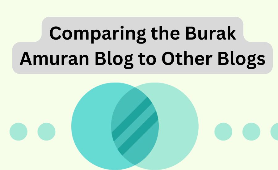 burak amuran blog