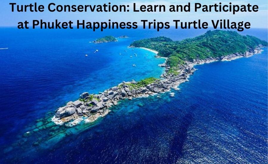 phuket happiness trips turtle village