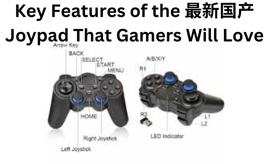 国产joypad