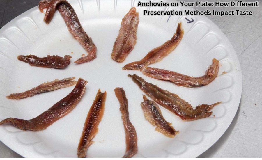 how are anchovies typically preserved