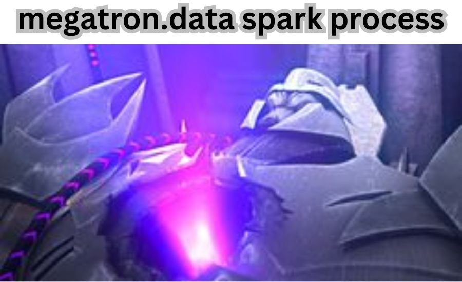 megatron.data spark process