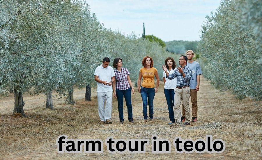 farm tour in teolo