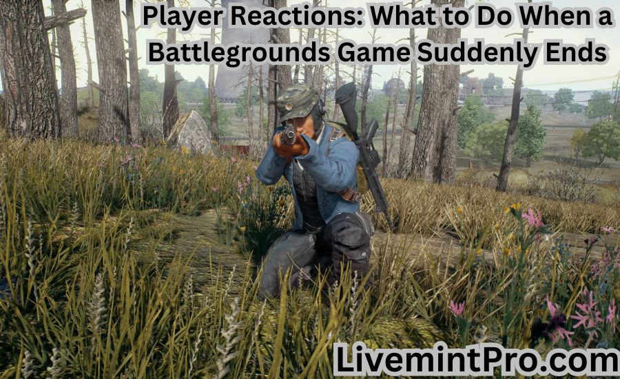 battlegrounds game suddenly ended