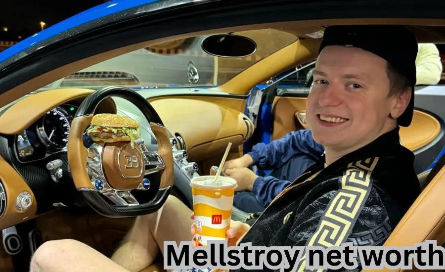 mellstroy net worth