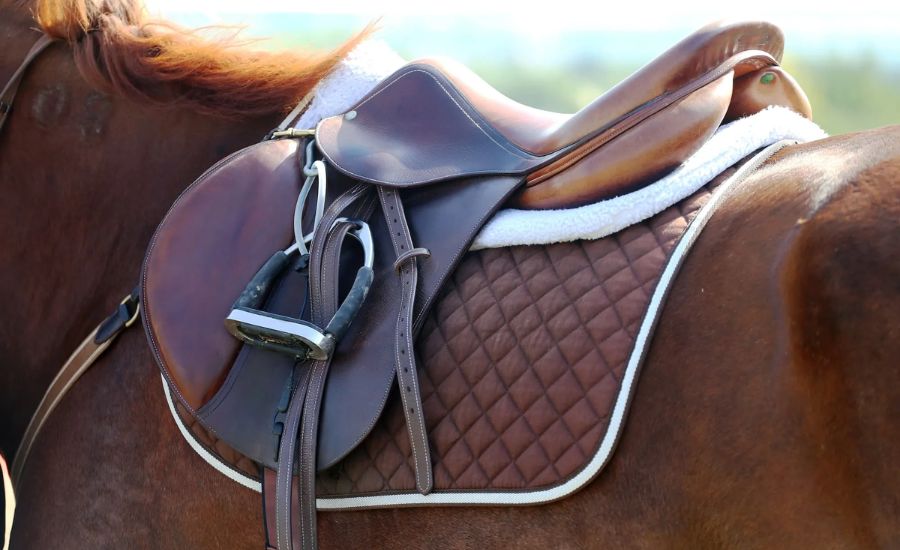 Affordable Horse Saddles Without Compromising on Quality – Buy Now