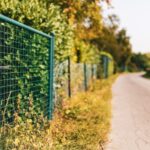 Industrial Fencing: Types of Wire Mesh Rolls and Mistakes to Avoid While Installing It